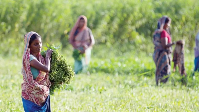 Rural Women Skills Training Program